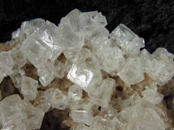 Burkeite With Halite