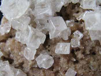 Burkeite With Halite