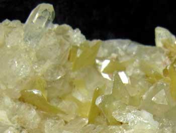 Muscovite