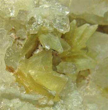 Muscovite