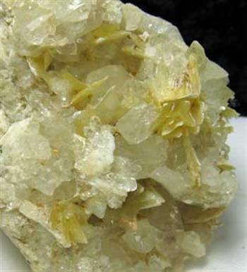 Muscovite