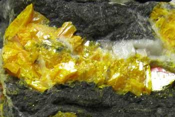 Orpiment