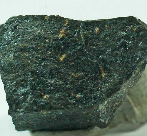 Scheuchzerite