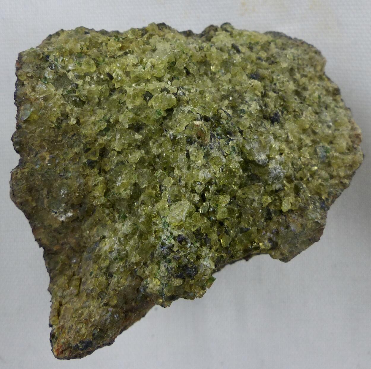 Forsterite