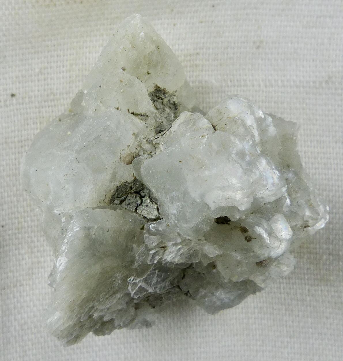 Tunellite