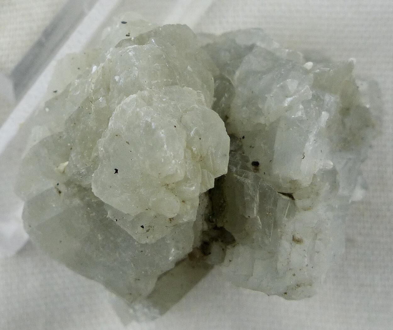 Tunellite