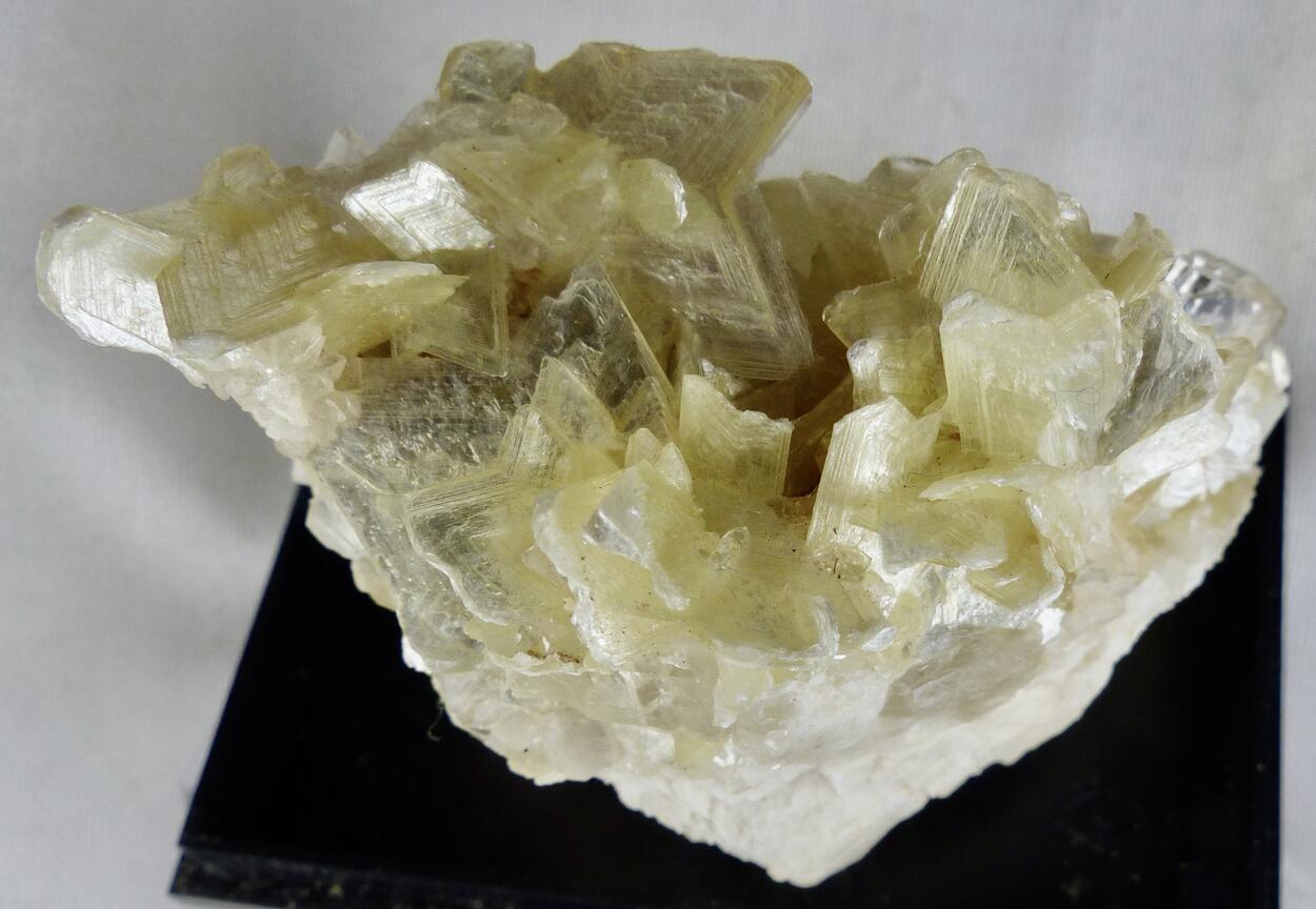 Muscovite