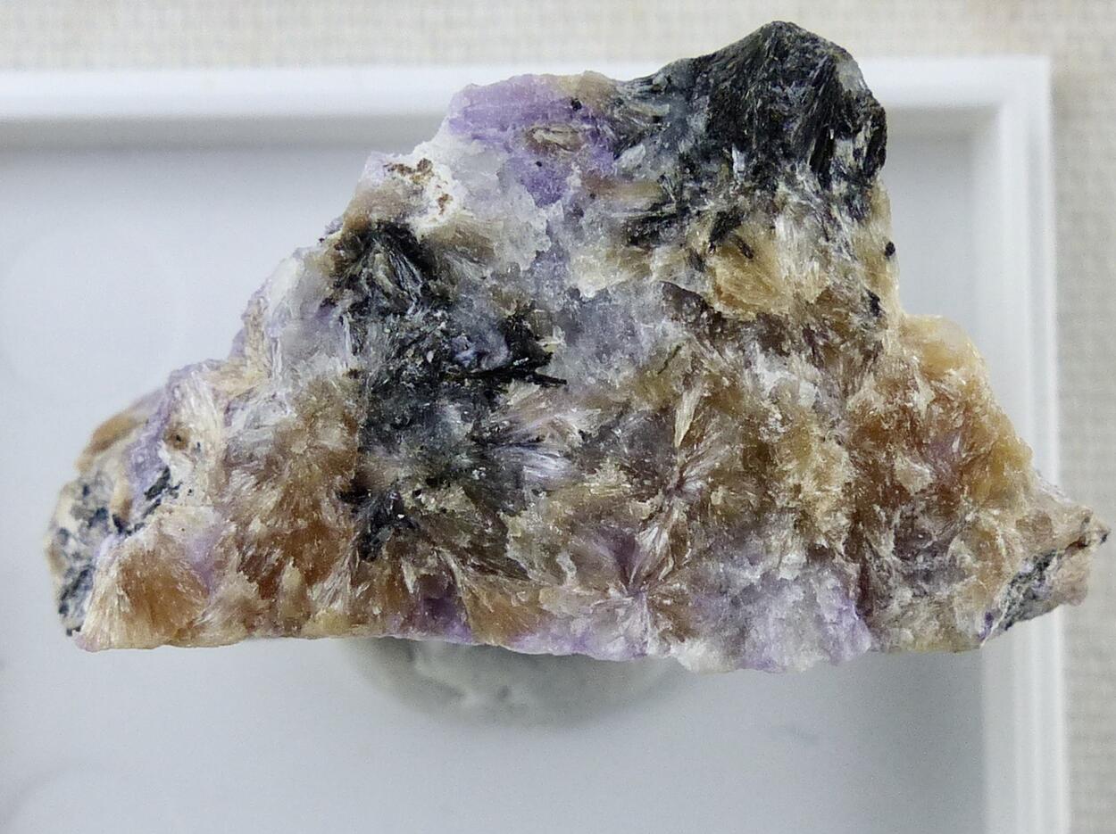 Tinaksite In Charoite