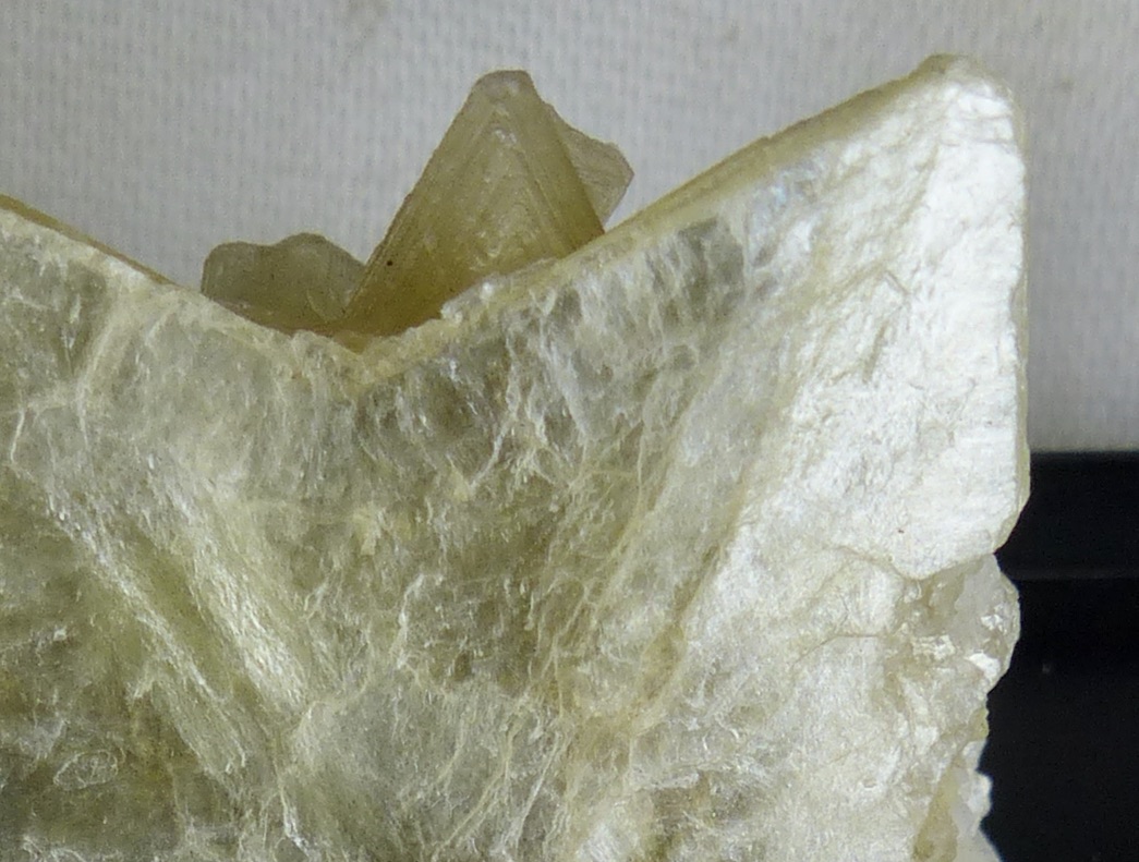 Muscovite