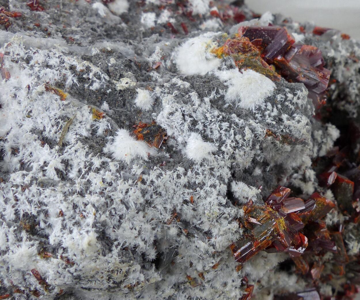 Picropharmacolite & Realgar