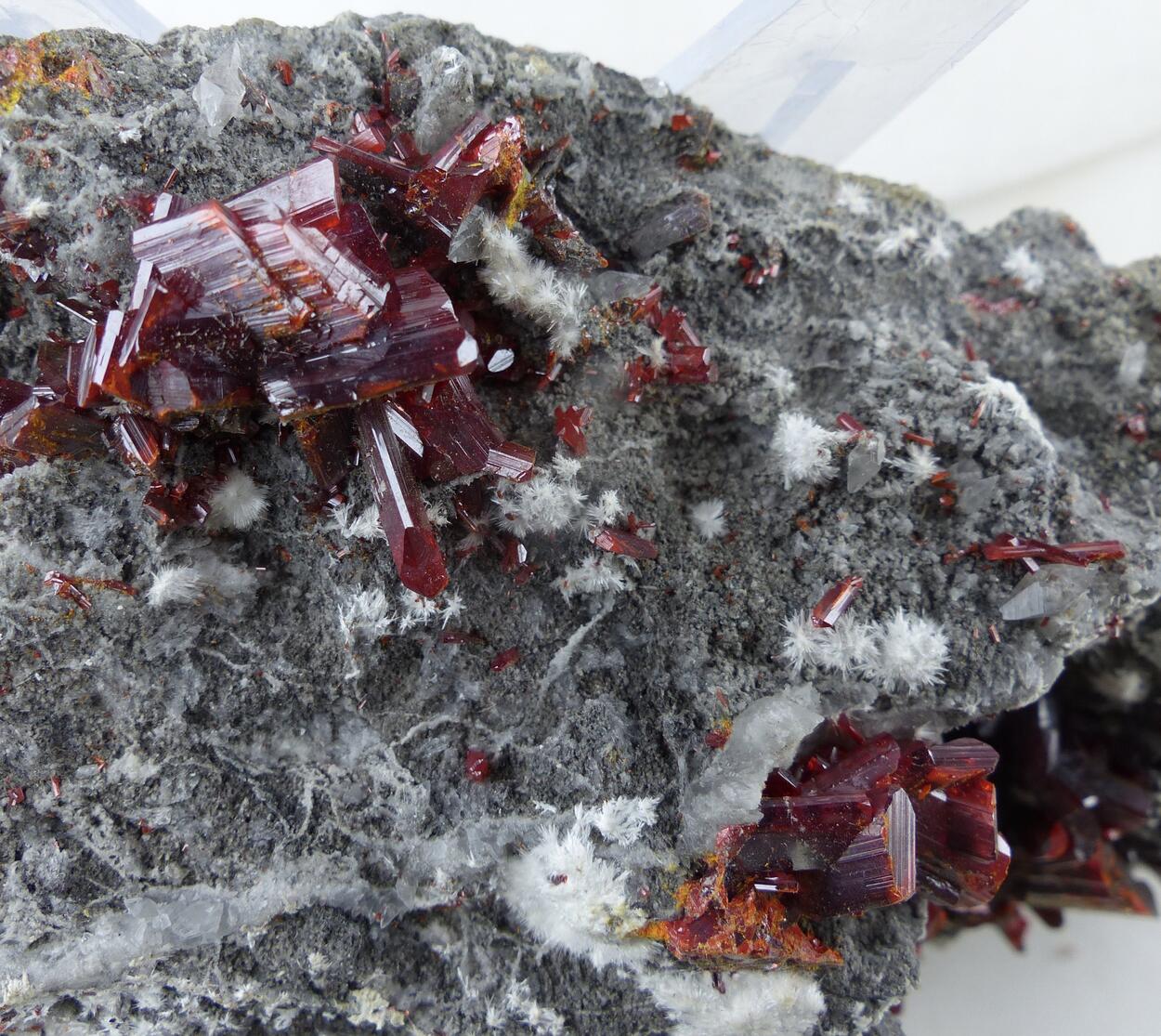 Picropharmacolite & Realgar