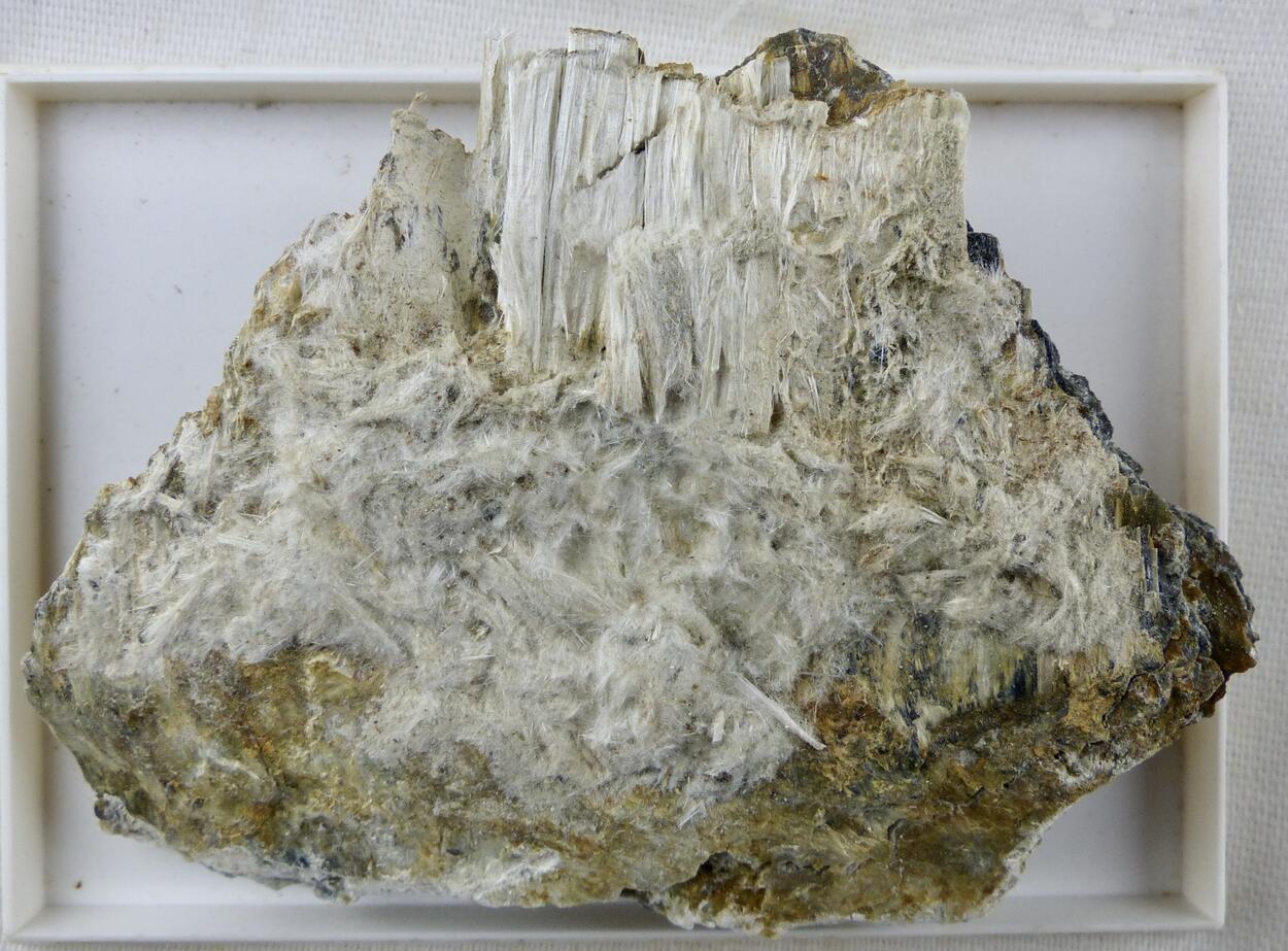 Chrysotile