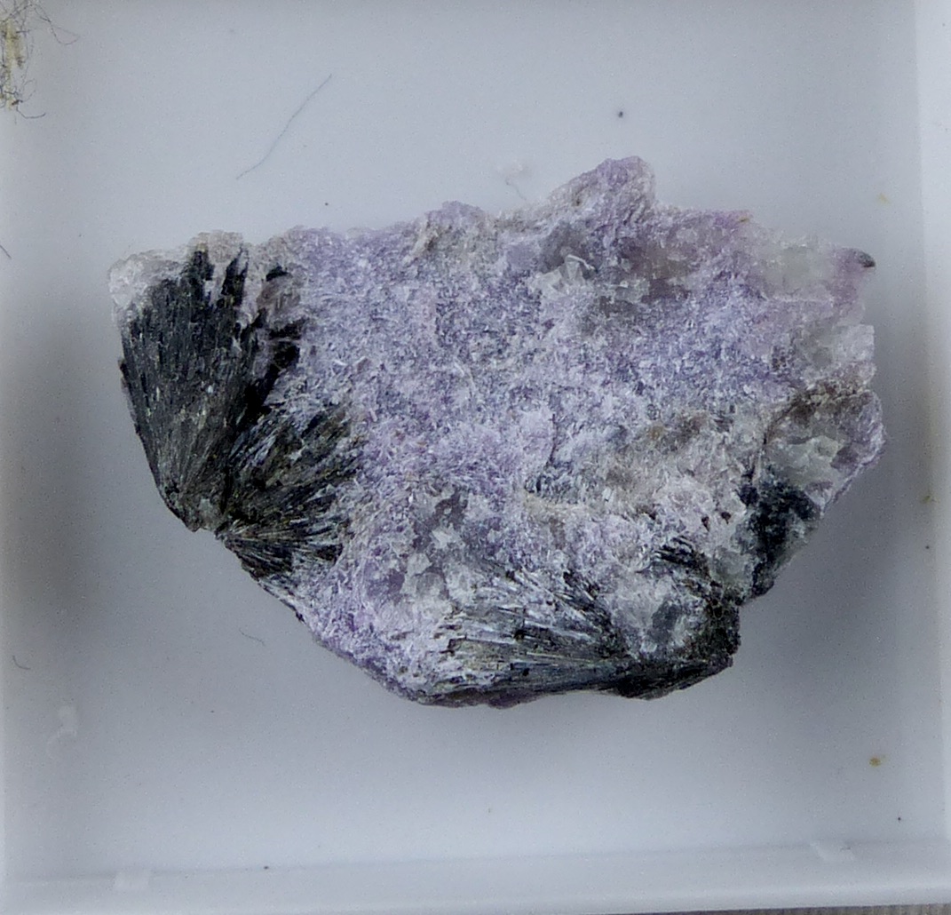 Charoite