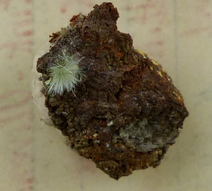 Zincolivenite