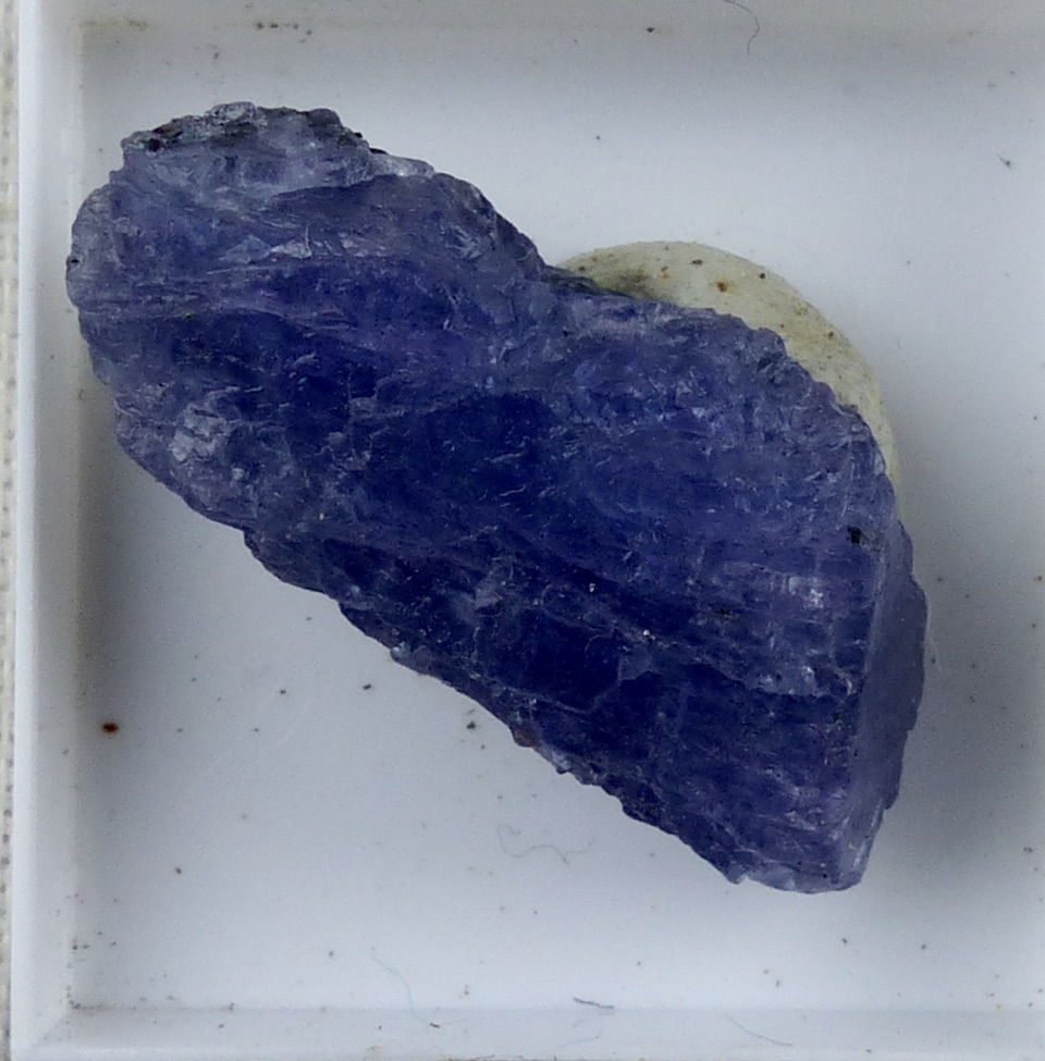 Tanzanite