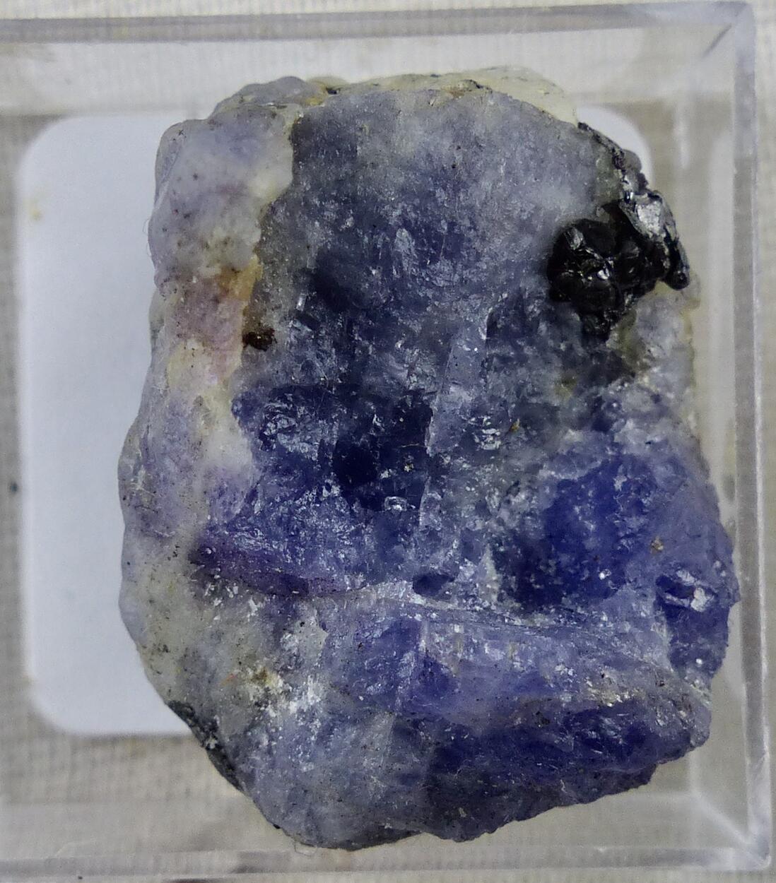 Tanzanite