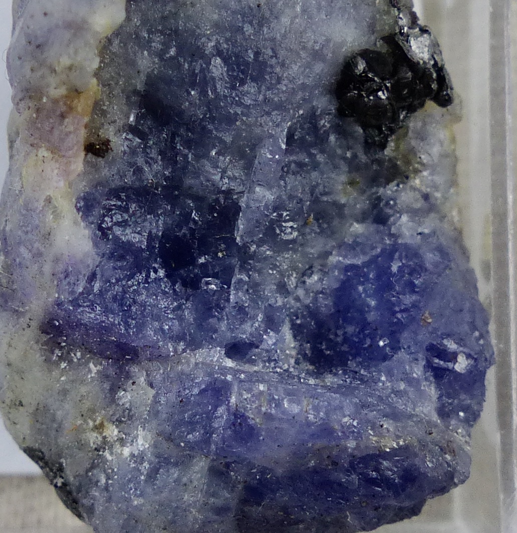 Tanzanite