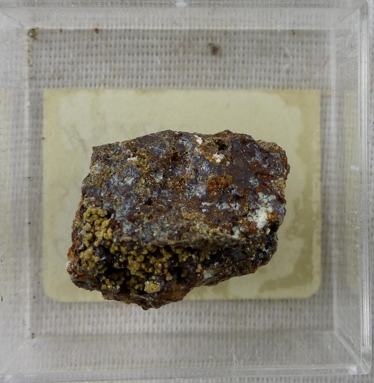 Chenevixite & Scorodite