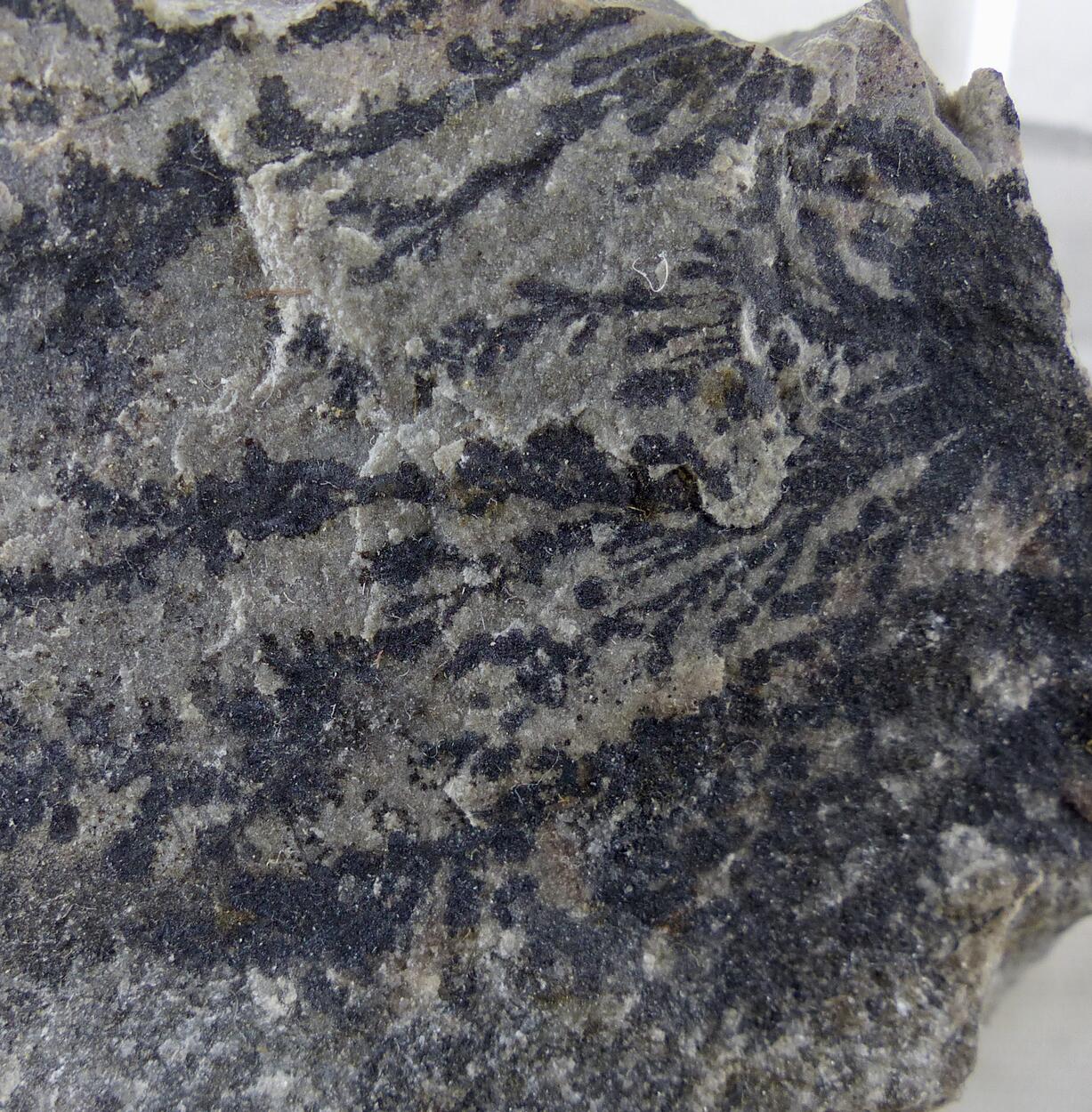 Pyrolusite