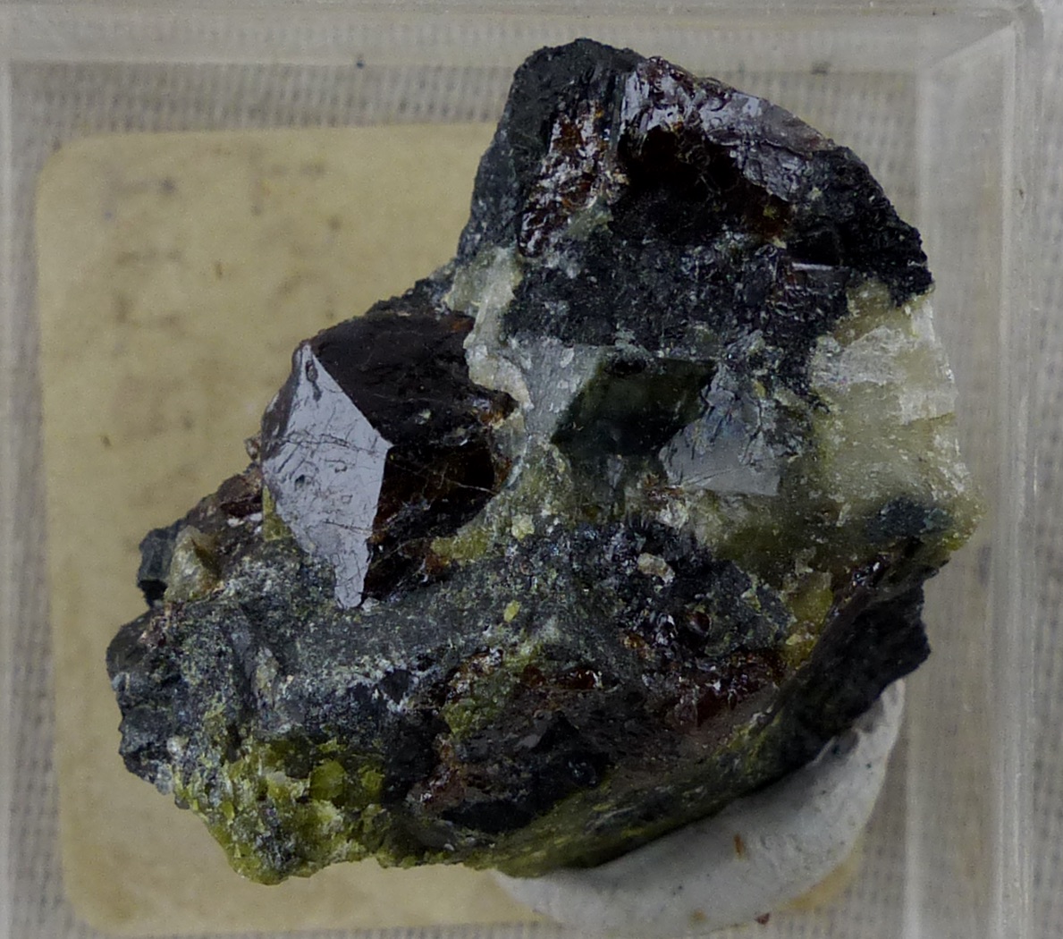 Titanite & Tschermakite