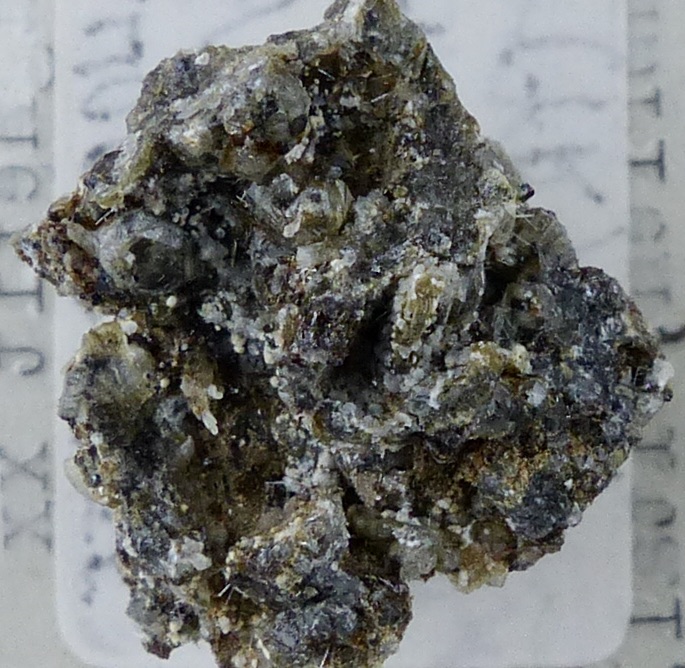 Magnetite & Leucite & Melilite & Apatite