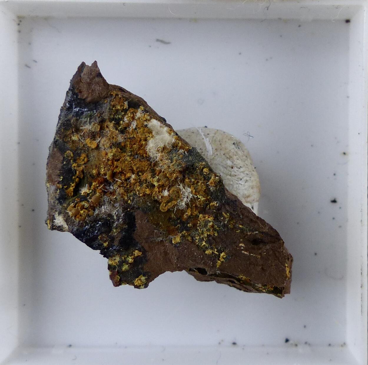 Cacoxenite & Wavellite