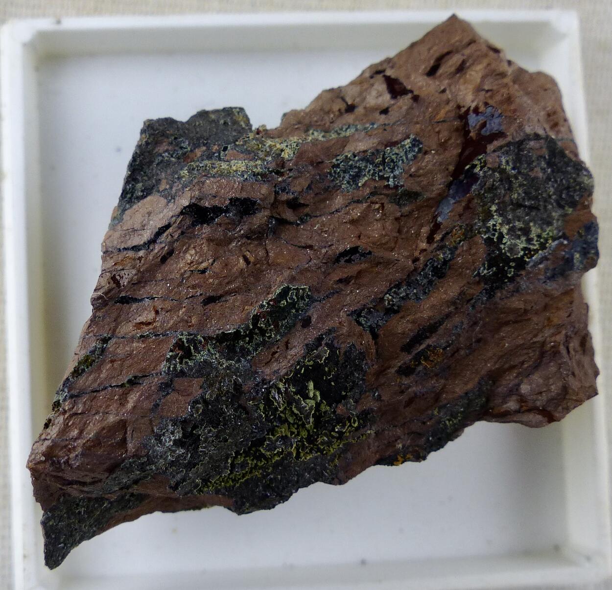 Kidwellite