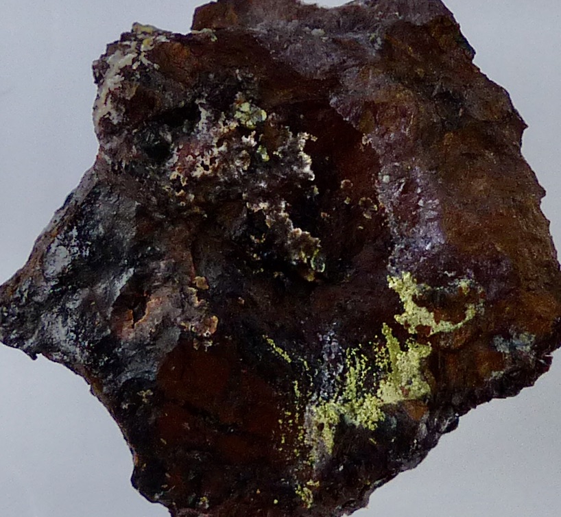 Variscite & Kidwellite