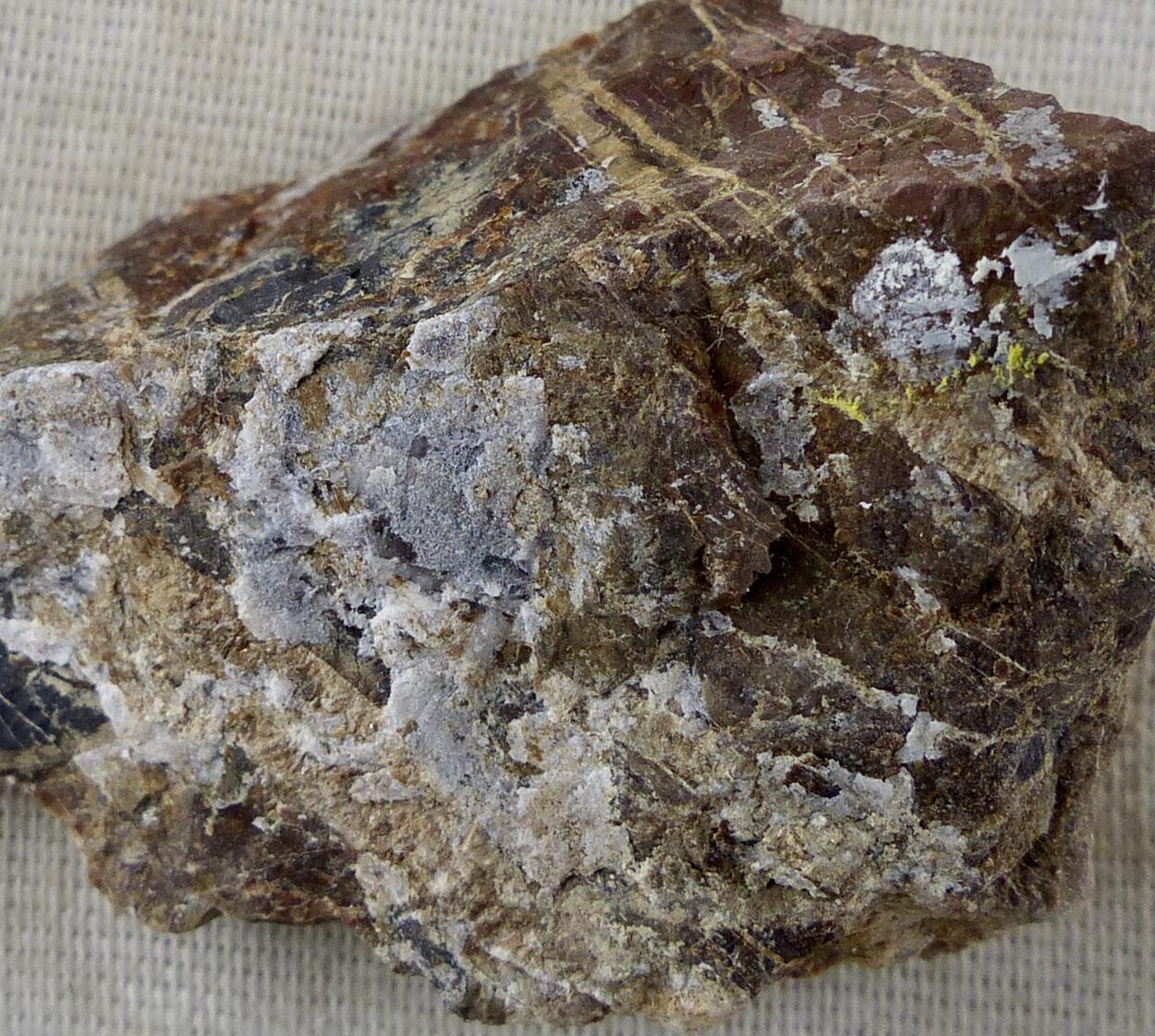 Ganophyllite