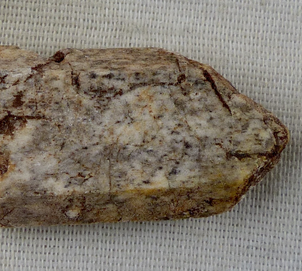 Tremolite Psm Diopside