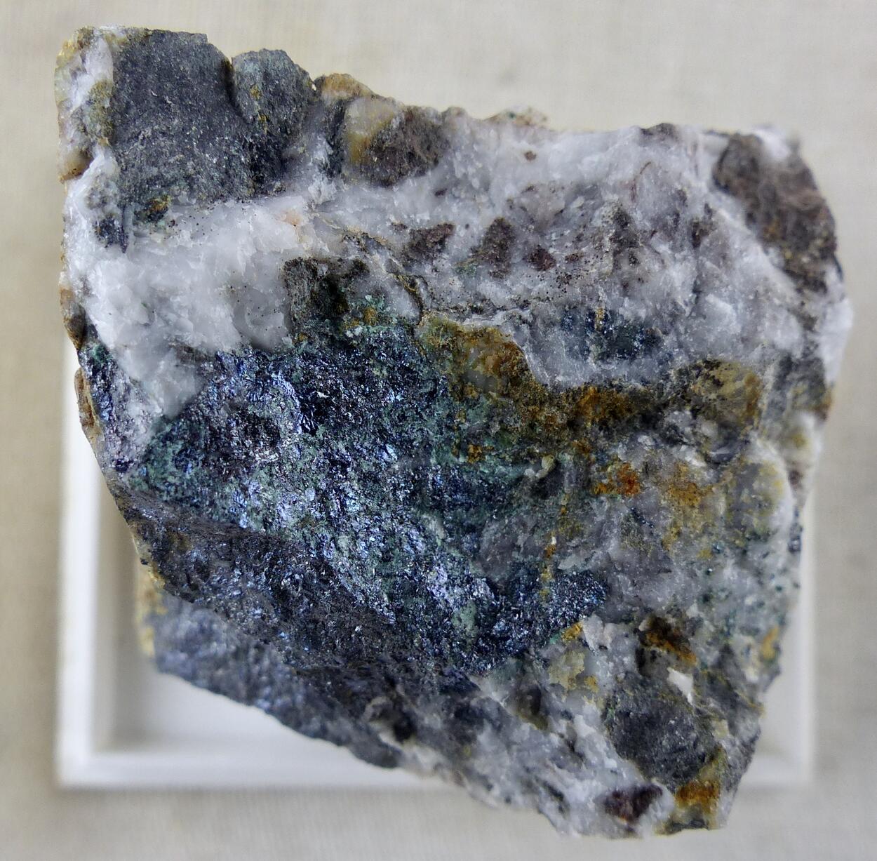 Bornite