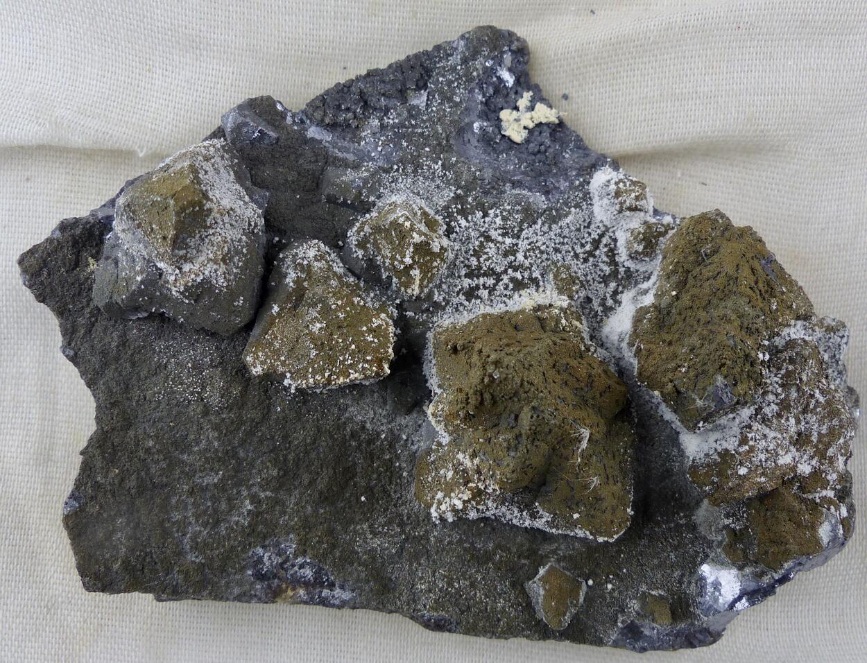 Galena & Pyrite