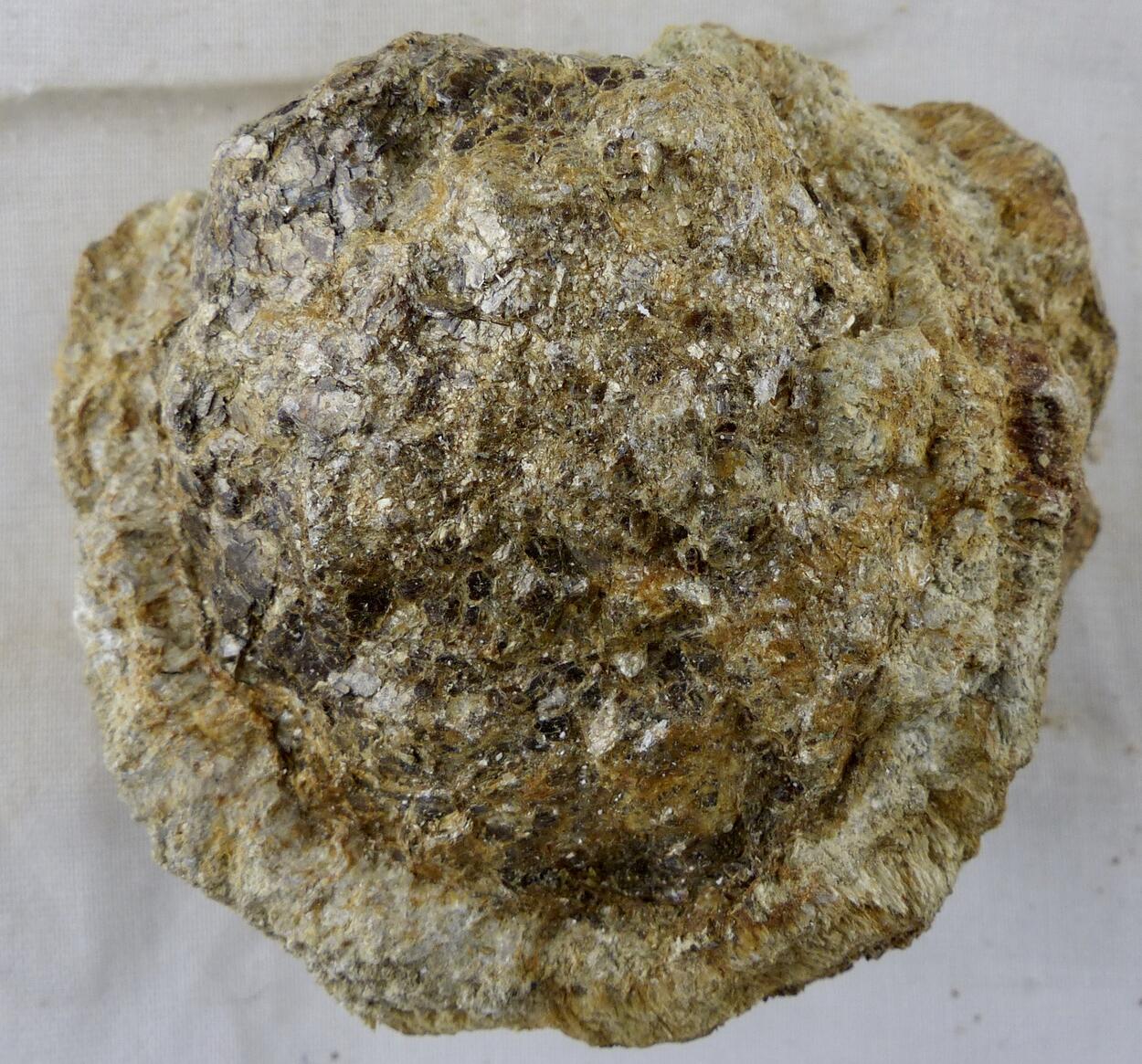 Anthophyllite & Phlogopite