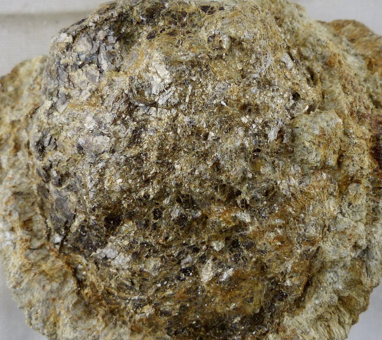 Anthophyllite & Phlogopite