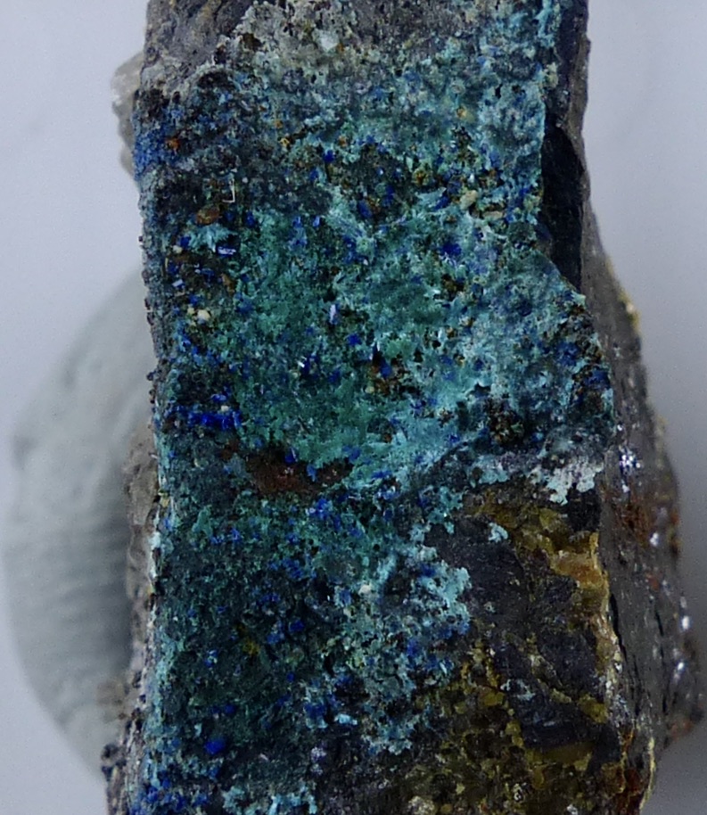 Brochantite & Linarite
