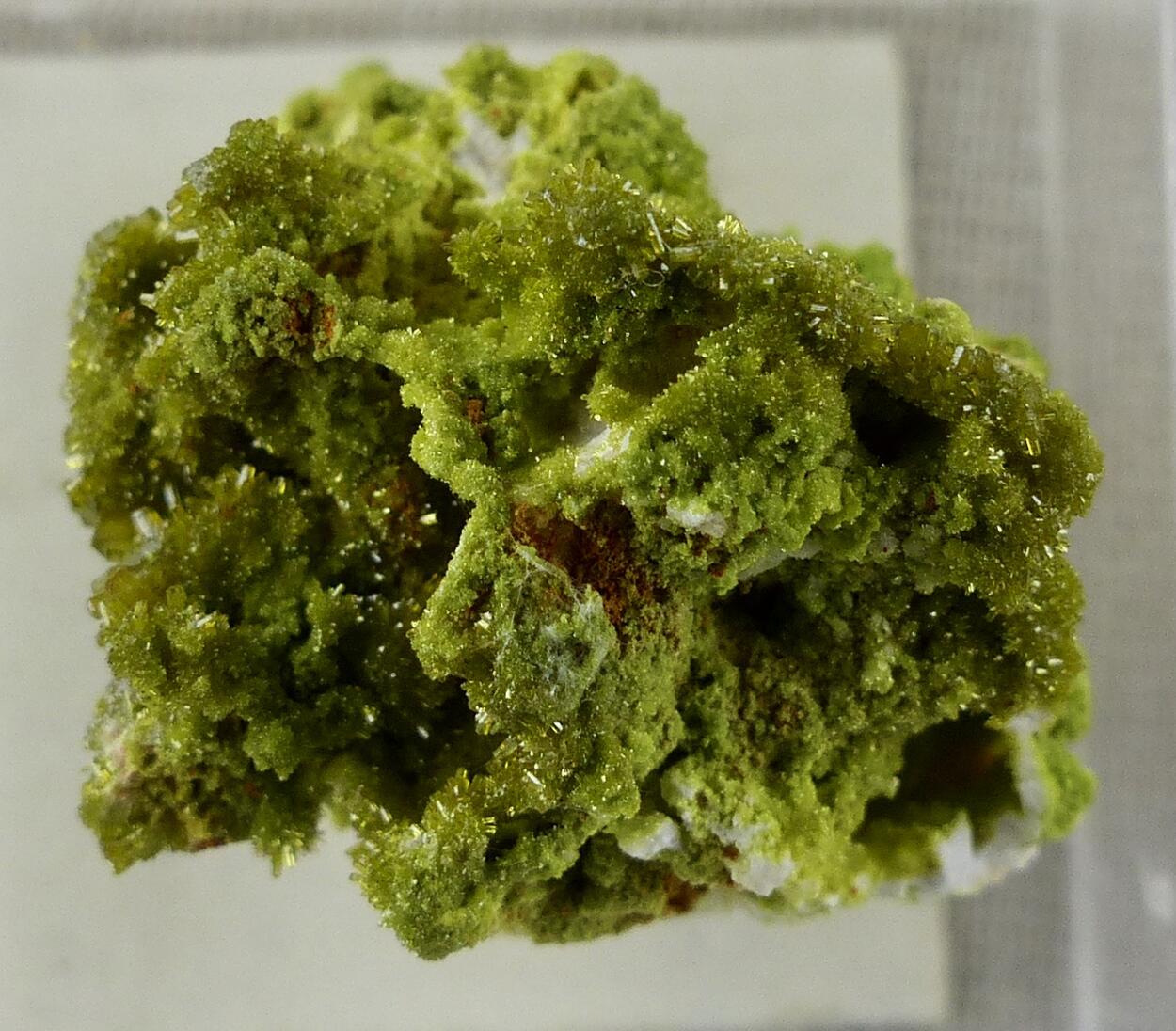 Pyromorphite