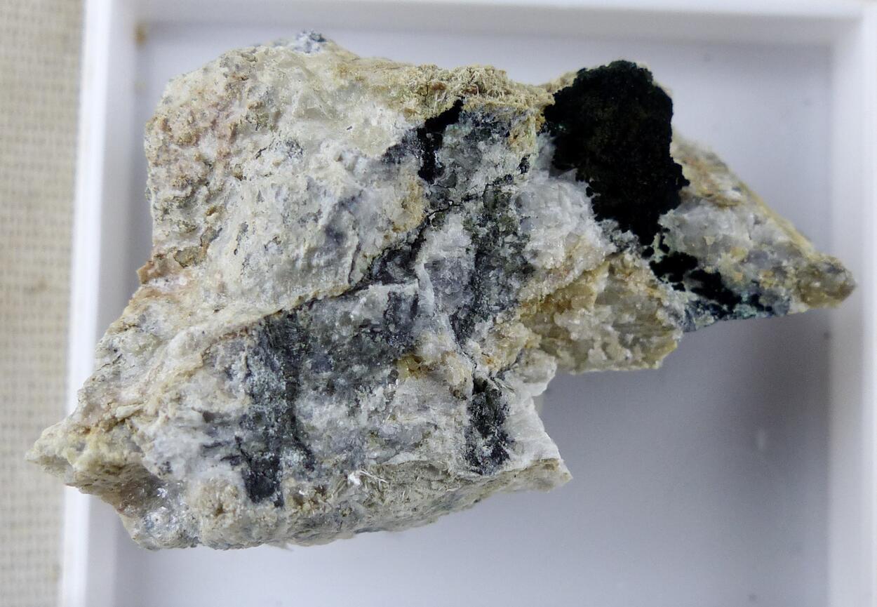 Schultenite & Anglesite