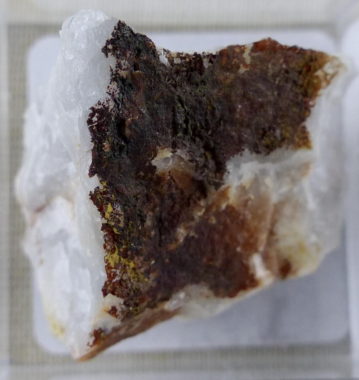 Hydrotungstite & Tungstite & Ferberite