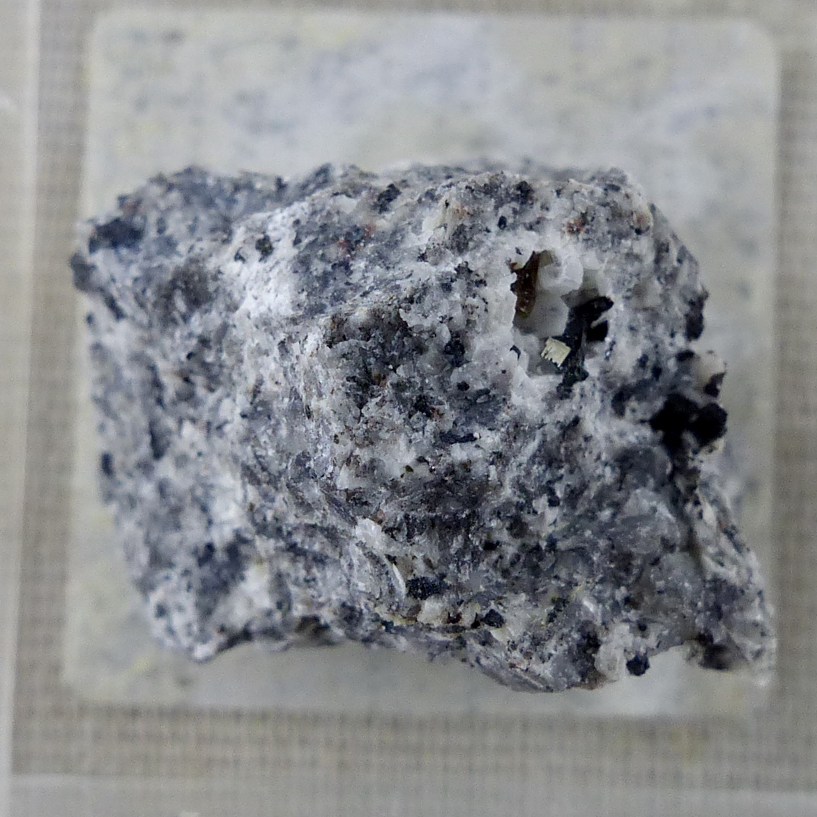 Bastnäsite-(Ce) & Låvenite