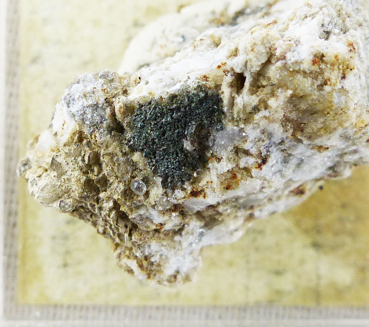 Apatite & Muscovite