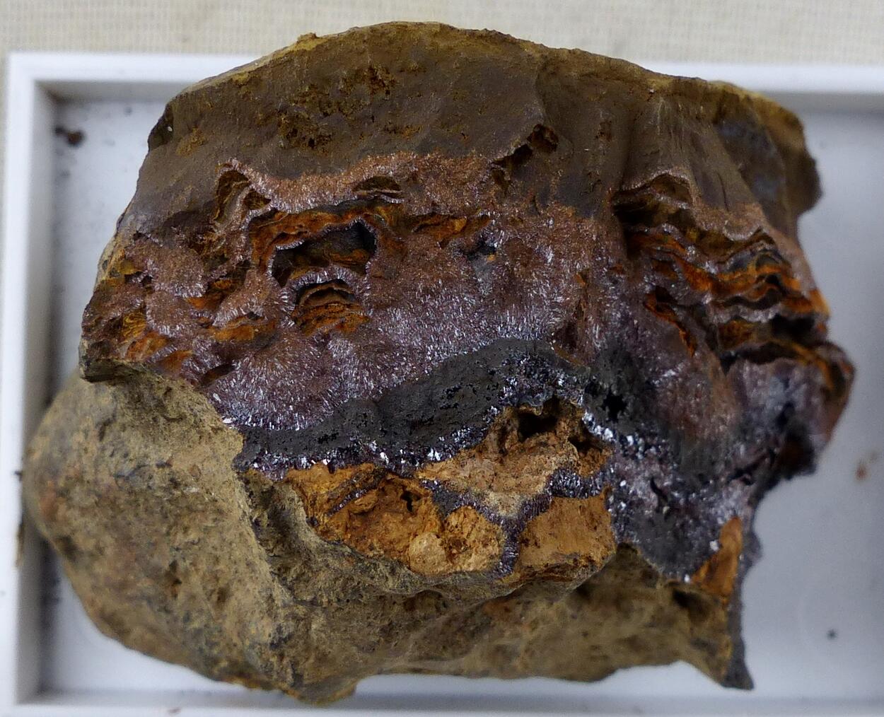 Lepidocrocite & Goethite