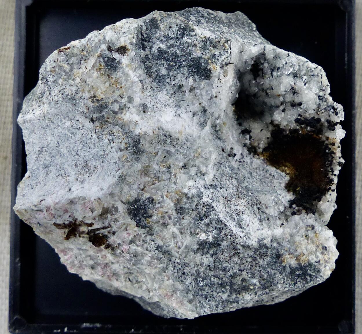 Eudialyte & Natrolite Aegirine