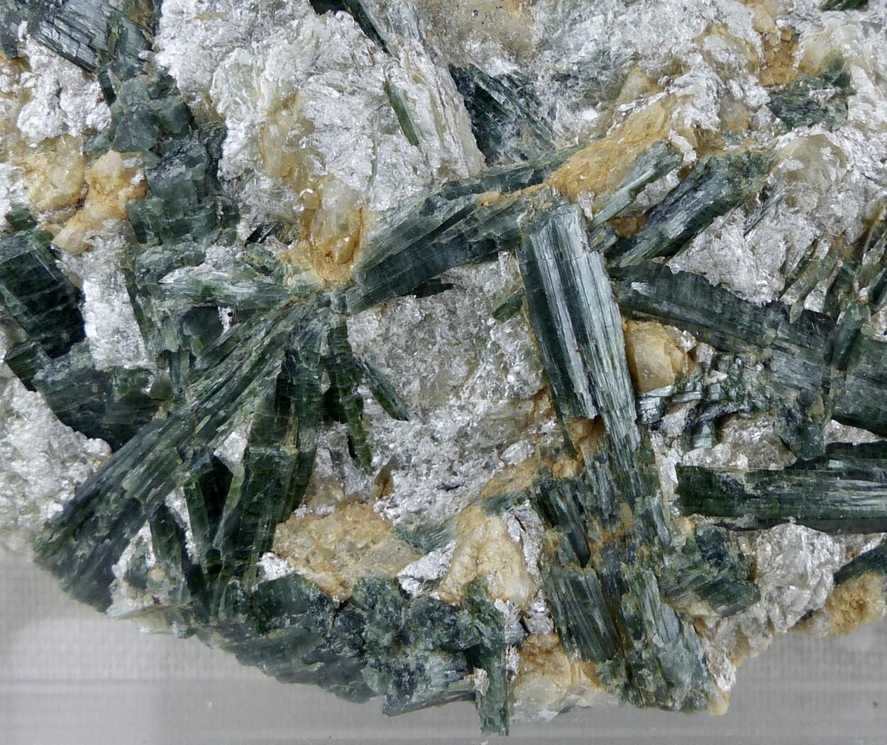 Actinolite