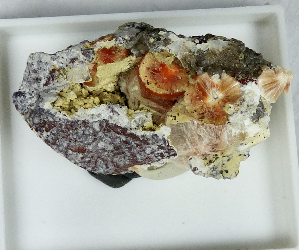 Ferrierite-Mg & Heulandite & Montmorillonite