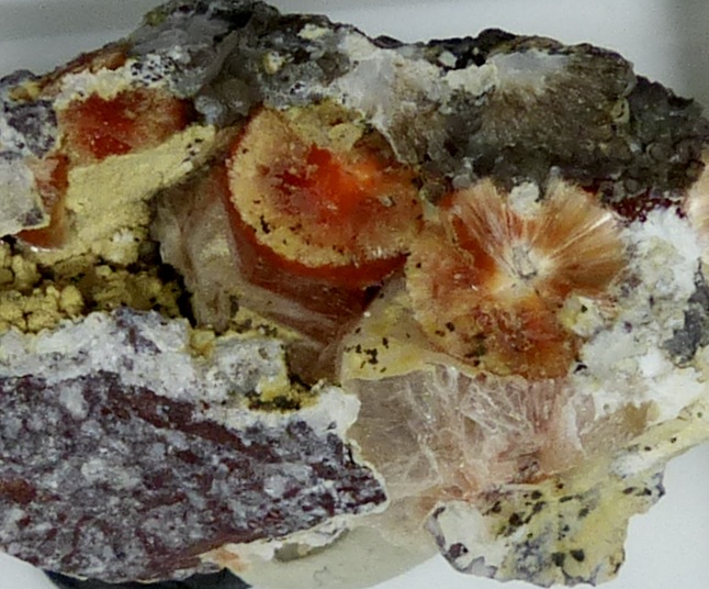 Ferrierite-Mg & Heulandite & Montmorillonite