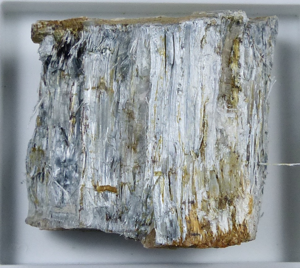 Chrysotile