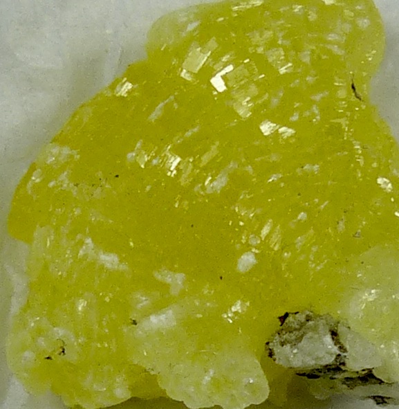 Brucite