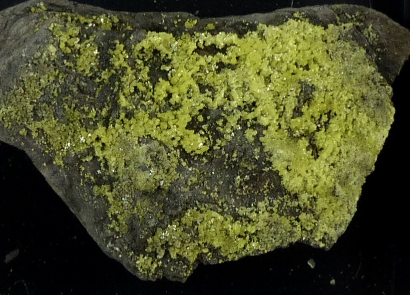Native Sulphur