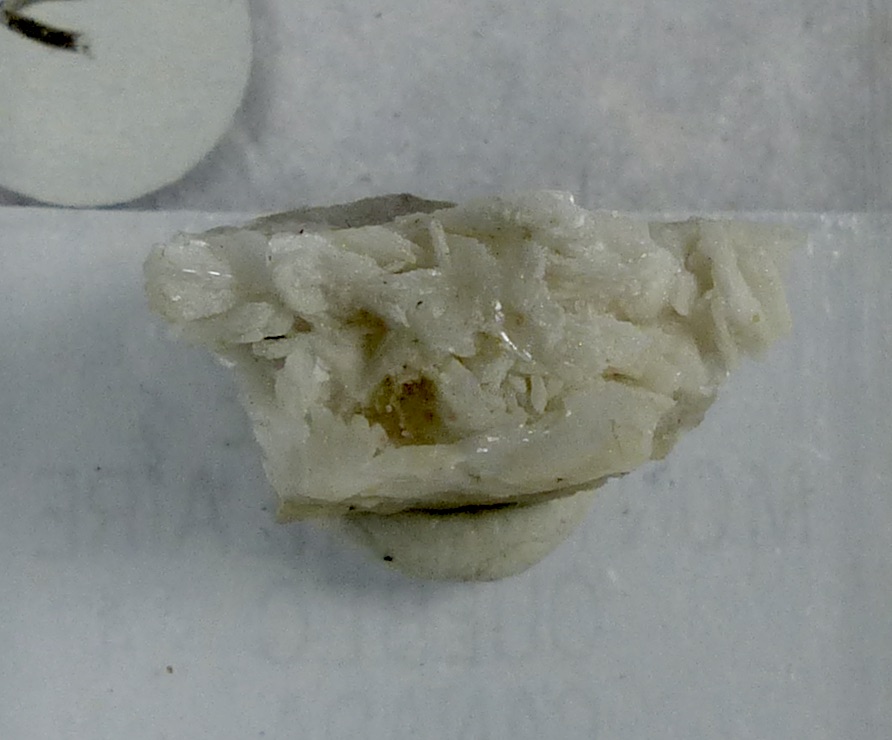 Hilairite On Albite