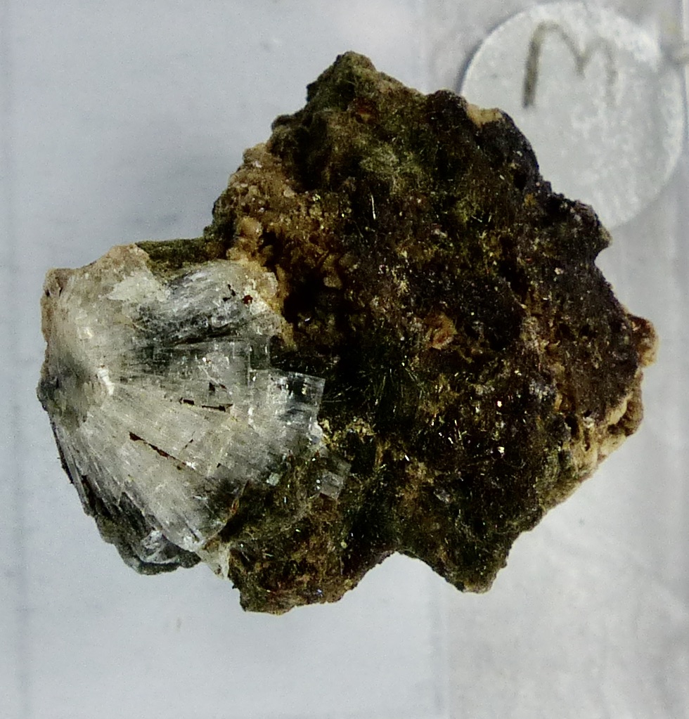 Leifite
